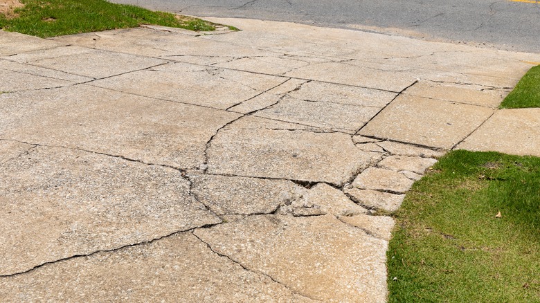 Concrete Driveway Replacement in Los Angeles